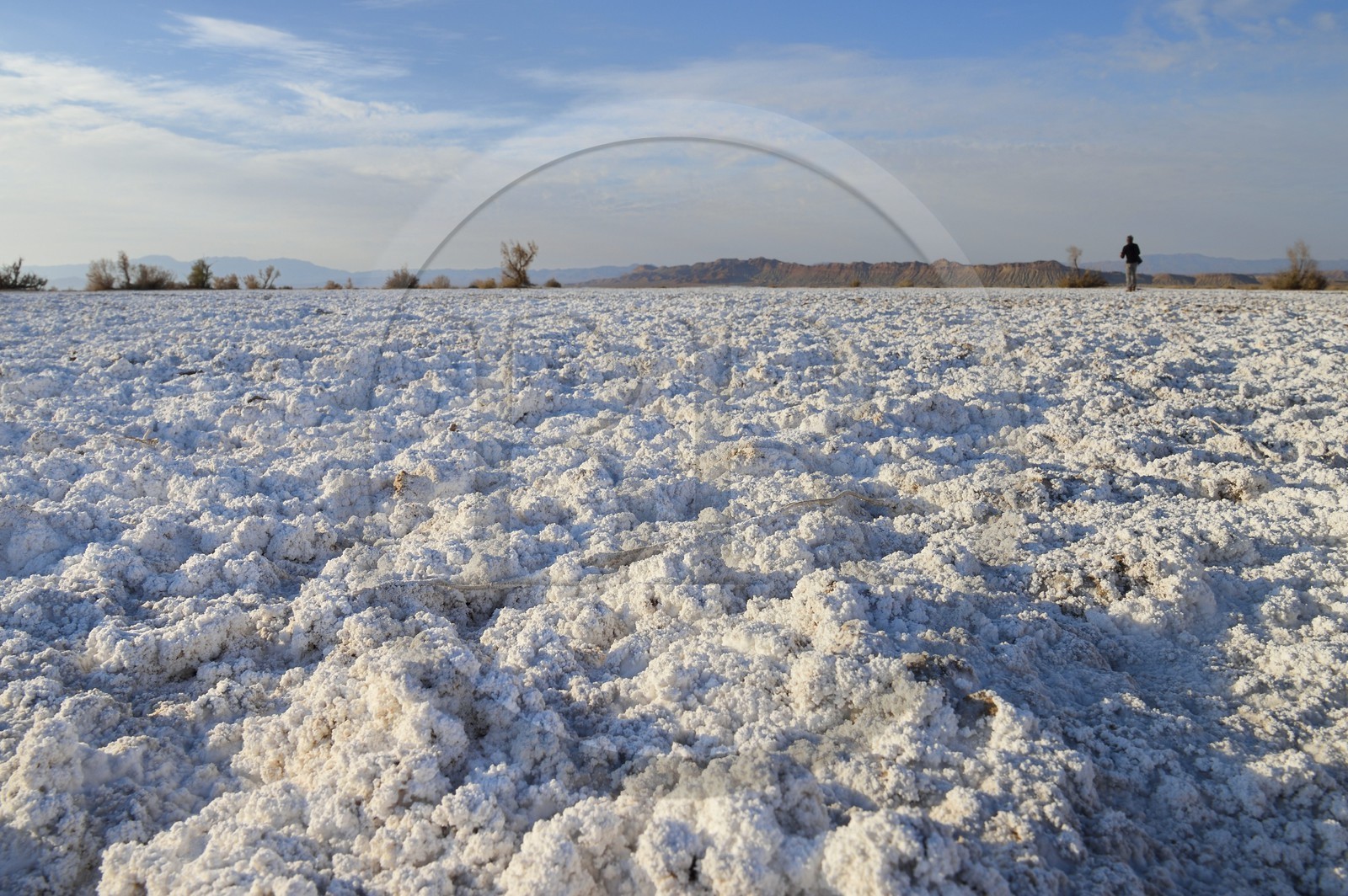 Iran, Province d'Ispahan, désert du Dasht-e Kavir, Khur, désert de sel qui émerge de la terre par capilarité après les pluies