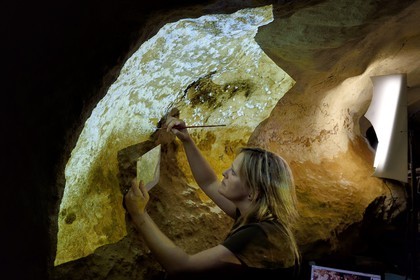 France, Dordogne (24), Montignac, l’Atelier des Fac-Similés du Périgord (AFSP) spécialisé dans la reproduction minérale de parois ornées de la préhistoire et en charge de la reconstitution fidèle des parois de la grotte de Lascaux, reproductions des peintures par la peintre-copiste Beth O’Reilly, mention obligatoire Atelier des Fac-Similés du Périgord