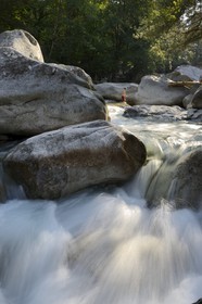 France, Haute Corse, Corte, Restonica valley