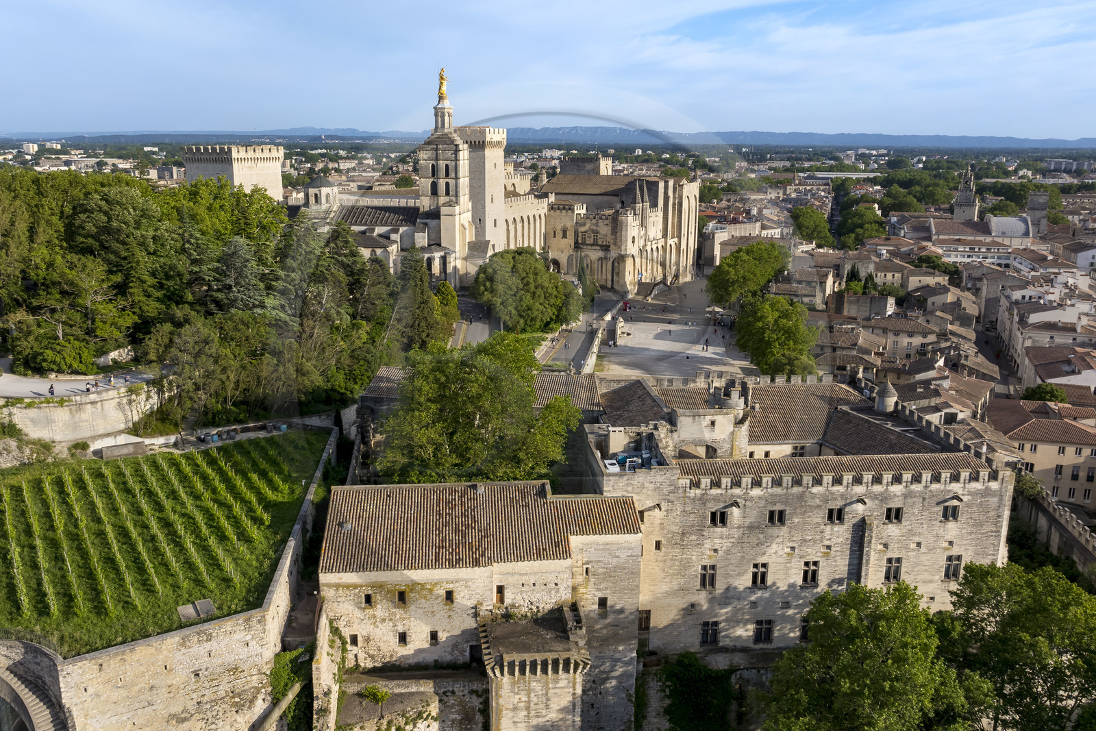 France, Vaucluse (84), Avignon, la cathédrale des Doms et le Palais des Papes classés Patrimoine mondial de l'UNESCO, la vigne du clos du palais des papes et le musée du Petit Palais au premier plan (vue aérienne)