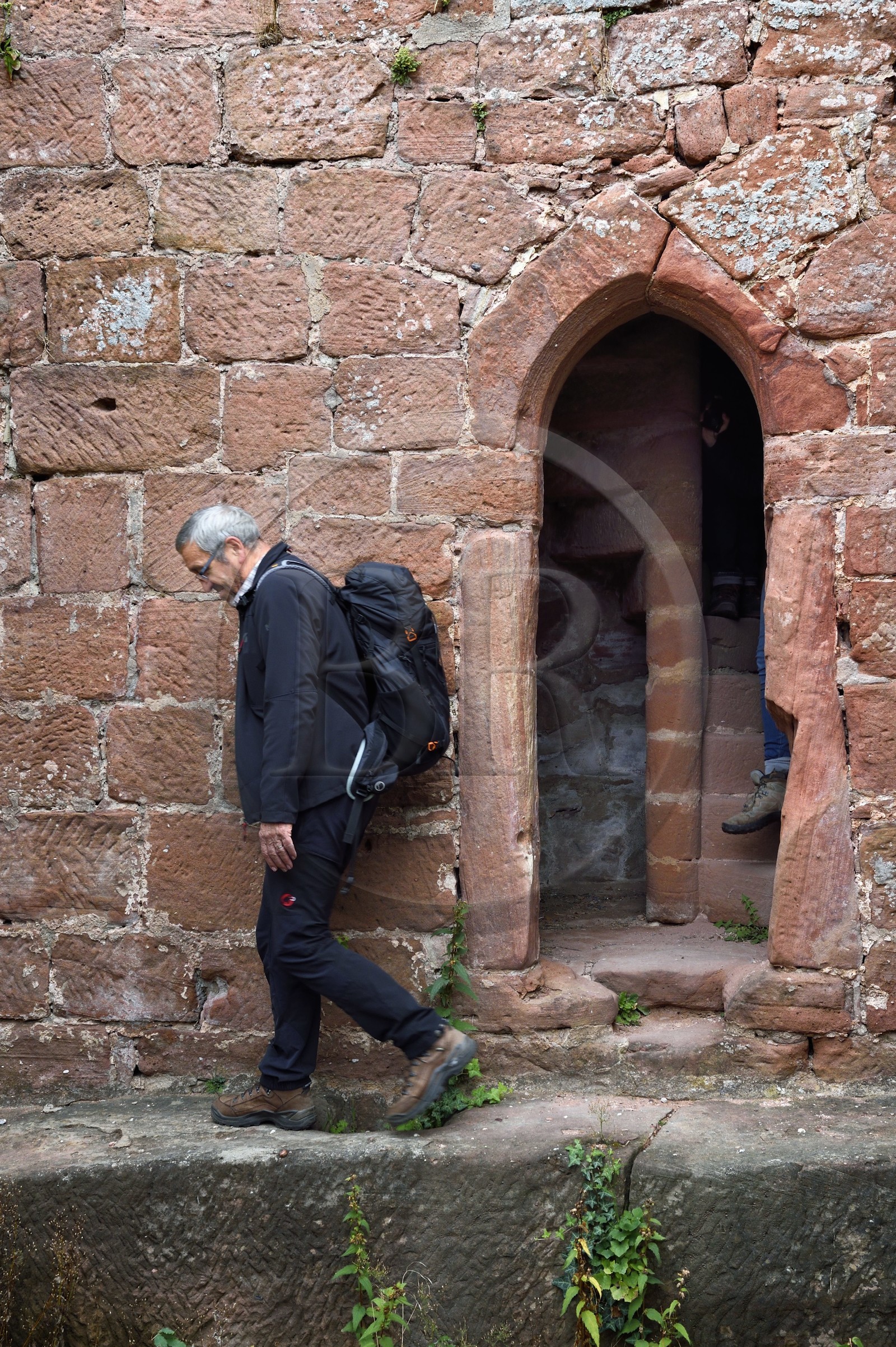 France, Bas-Rhin (67), Parc naturel régional des Vosges du Nord, Niedersteinbach, foret domaniale de Steinbach, ruines du chateau de Wasigenstein, Jean-Louis Pfeffer vice président de la fédération du Club Vosgien