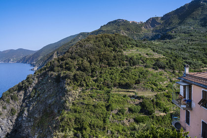 Italy, Liguria, Cinque Terre National Park listed as World Heritage by UNESCO, village of Corniglia, view of the coast and the vineyard to the West, the hamlet of San Bernardino in the background at the top of the mountain