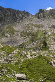 France, Alpes-Maritimes, Parc National du Mercantour (Mercantour national park), Haute Vesubie, Saint Martin Vesubie, Val du Haut Boréon, hikers on the path going to the Pas des Ladres pass (in the background at the top)