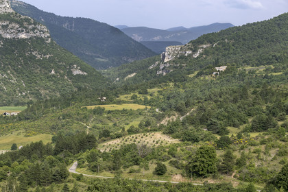 France, Drôme (26), parc naturel régional des Baronnies provençales, Rémuzat, vallée de L'Eygues