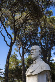 France, Alpes-Maritimes, Antibes, The Botanical Garden of Villa Thuret (attached to INRAE), labeled Jardin Remarquable (Outstanding Garden) and Remarkable Tree, bust of the botanist and algologist Gustave Thuret under the umbrella pines