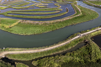 France, Vendée (85), Talmont Saint Hilaire, Guittière marshes in the hinterland of Pointe du Payré, Passage du Cul d’Ane, marshes developed for fish farming of sea bream, mullet and eels (aerial view)