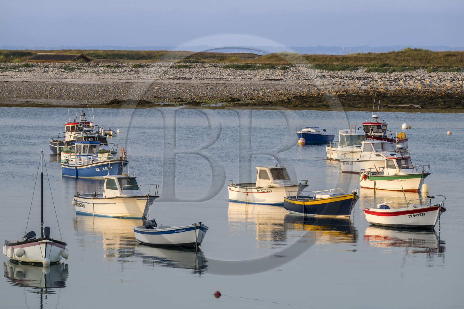 France, Finistère (29), Mer d'Iroise, Ile de Molène, les bateaux de pêches sont au mouillage à la belle saison entre le bourg et l'ilot Lédenez Vraz en arrière plan