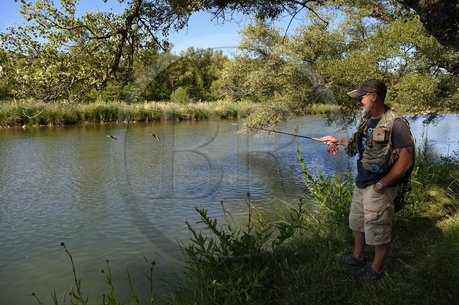 France, Alpes de Haute Provence, Parc Naturel Regional du Verdon (Natural Regional Park of Verdon), Gréoux les Bains, trout fishing on the banks of the Verdon river