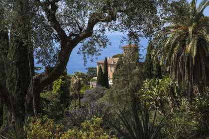 Italy, Liguria, Province of Imperia, Ventimiglia, Hanbury Botanical Garden, Palazzo Orengo