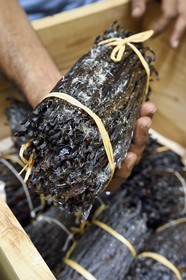 France, Reunion island (French overseas department), Saint Louis, Domaine de Bellevue, producer of organic vanilla grown under photovoltaic panels, crystallized Planifolia vanilla pods with at least 24 months of ripening