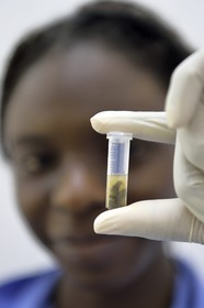 Namibie, Otjiwarongo, Cheetah Conservation Fund, centre de recherche et d'éducation, extraction par Harmony de matière fécale de guépards dans un micro tube en vue d'en extraire l'ADN