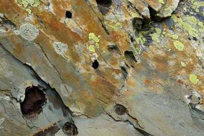 France, Alpes-Maritimes (06), parc national du Mercantour, Vallée des Merveilles, roche chargée en fer, nodules de fer dans une pierre de schiste