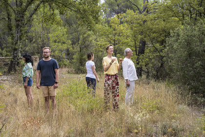 France, Var, Provence Verte (Green Provence), Bras, Academie du Bain de Foret Provencale (Academy of Forest Bathing in Provence), forest of the domaine Le Peyrourier - une campagne en Provence, Constanze Coisne guides Shinrin Yoku