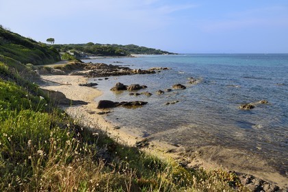 France, Var (83), Saint-Tropez, la côte vers la plage de Capon