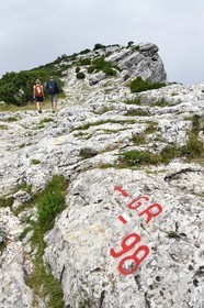 France, Var, Plan d'Aups Sainte Baume, Sainte-Baume Regional Nature Park, Sainte-Baume Massif, hikers at the Col du Saint-Pilon on the GR 98, the Saint-Pilon in the background