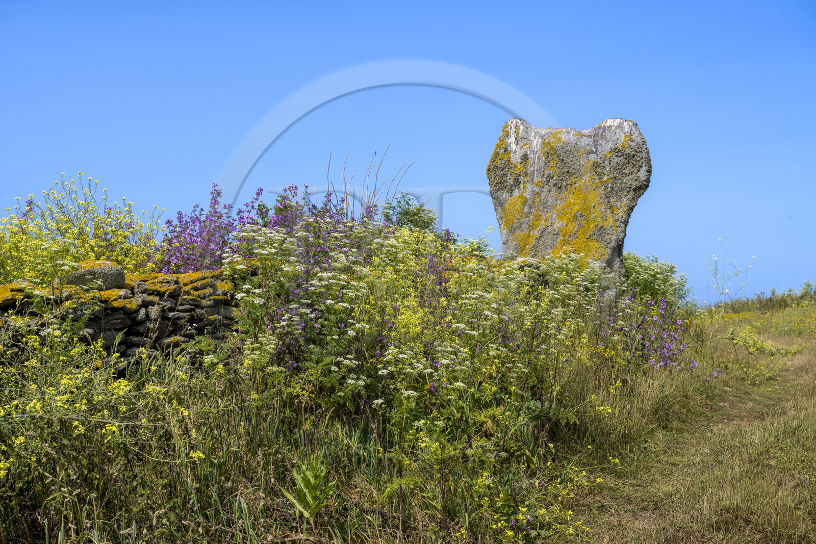France, Finistère (29), Mer d'Iroise, archipel de Molène, Ile de Quéménès, le menhir