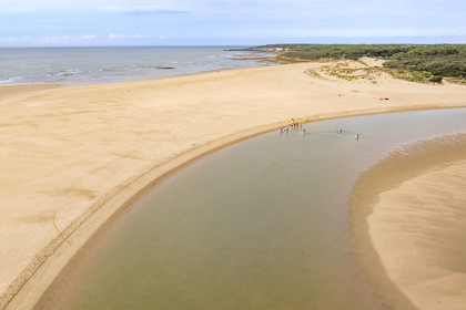 France, Vendée (85), Talmont Saint Hilaire, la Pointe du Payré, Veillon beach and estuary of the Payré river (aerial view)