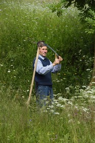Roumanie, Transylvanie, région de Brasov, Moieciu de Sus dans les monts Fagaras dans les Carpates du Sud, un paysan aiguise sa faux dans son prés