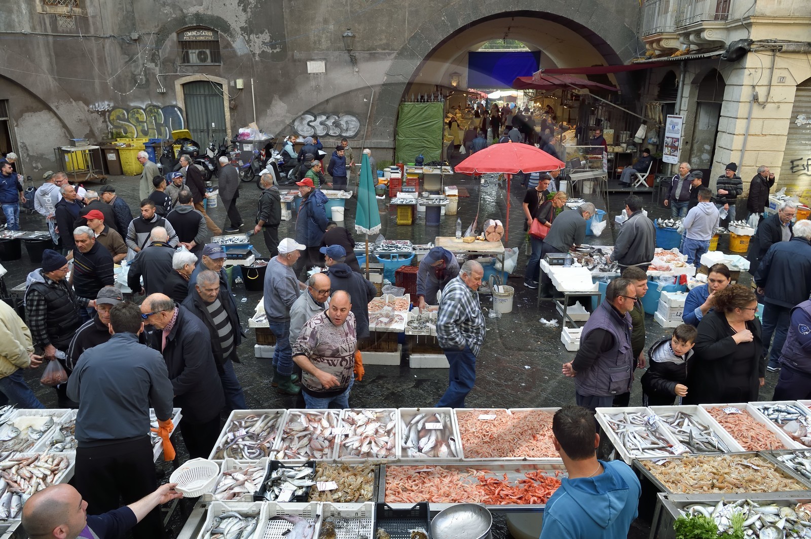 Italie, Sicile, Catane, ville baroque classée au Patrimoine Mondial de l'UNESCO, le marché aux poissons Pescheria de la Piazza Alonzo di Benedetto