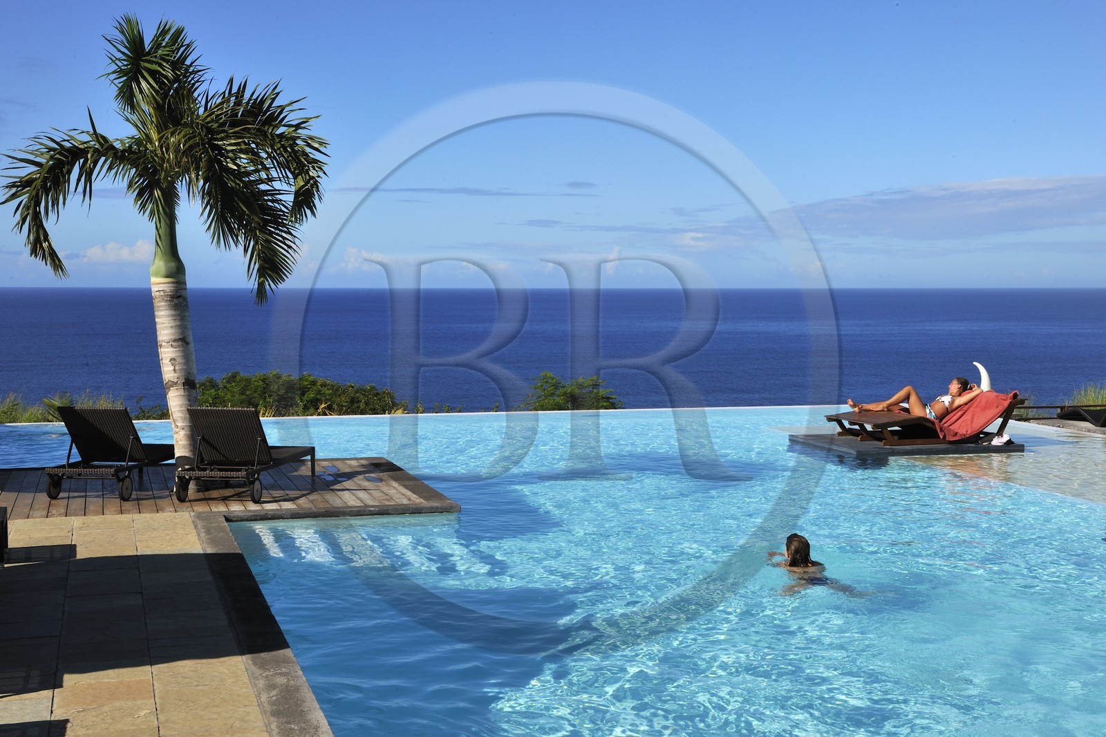 France, Reunion Island (French overseas department), southern coast, Grande Anse, Palm Hotel