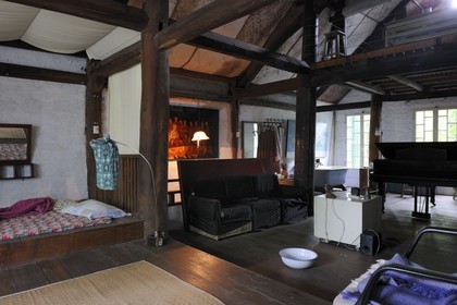 Vietnam, Hanoï, artiste peintre contemporain Le Hong Thai dans sa maison et atelier