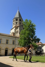 France, Saône et Loire (71), Cluny, le Haras national accolé au clocher de l'Eau Bénite de l'ancienne abbaye