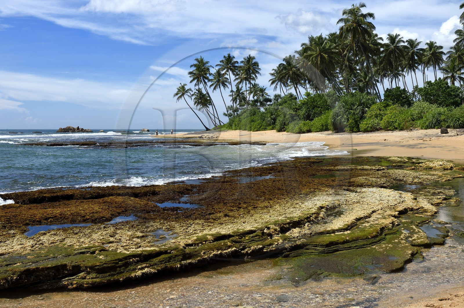Sri Lanka, Province du Sud, Galle, plage du Jetwing Lighthouse Hotel Sri Lanka, Province du Sud, Galle, plage du Jetwing Lighthouse Hotel