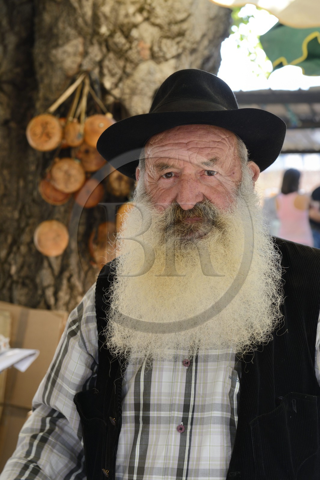 France, Haute Corse, Niolu (Niolo) region, Casamaccioli, shepherd at the Santa di Niolu religious festivity to celebrate the Nativity of the Virgin