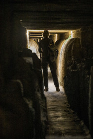 France, Gard, Pont du Gard classified World Heritage by UNESCO, Grand Site de France, Roman aqueduct over the Gardon River, calcareous concretions deposited over the years on the interior walls of the aqueduct conduit in the upper part of the bridge