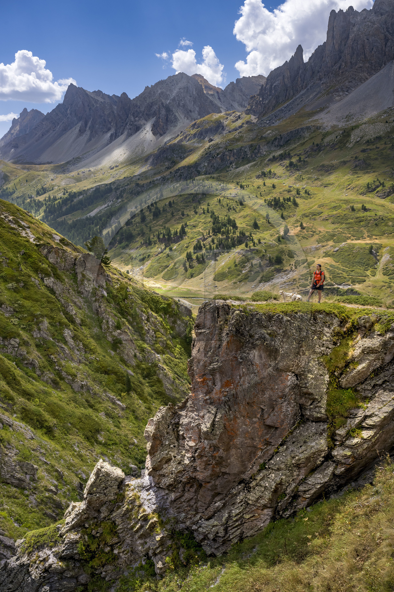 France, Hautes Alpes (05), le Briançonnais, Névache, randonneuse avec ses chiens dans la haute vallée de la Clarée, le massif des Cerces en arrière-plan France, Hautes Alpes (05), le Briançonnais, Névache, randonneuse avec ses chiens dans la haute vallée de la Clarée, le massif des Cerces en arrière-plan