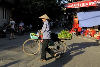 Vietnam, Hanoï, old city, fruit and vegetable seller on bicycle