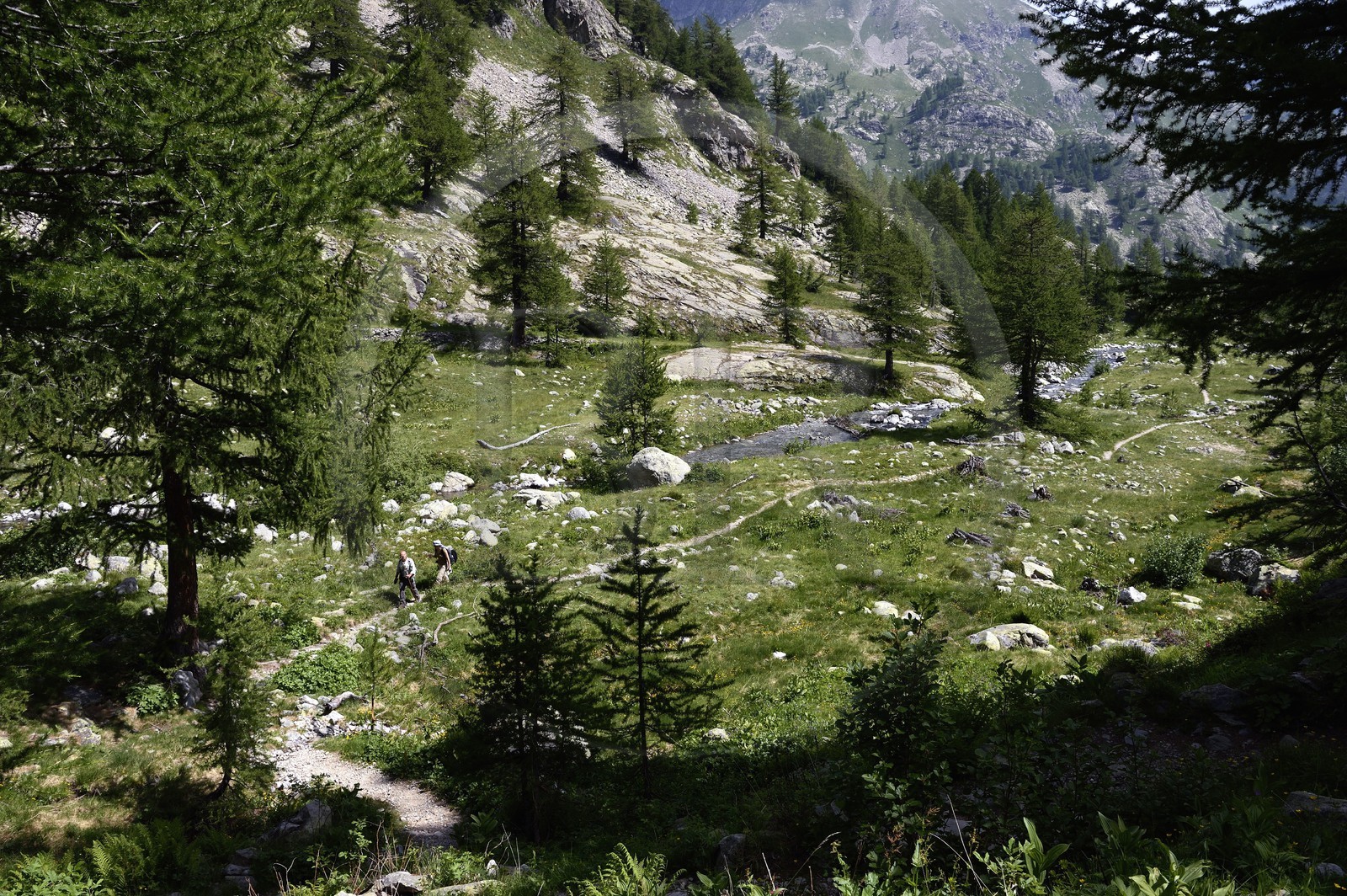 France, Alpes-Maritimes (06), parc national du Mercantour, randonneurs sur le sentier de randonnée de la vallée de la Valmasque