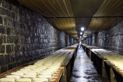 France, Cantal (15), La Chapelle-Laurent, cave d'affinage pour les fromages Marcel Charrade dans l'ancien tunnel ferroviaire de la ligne Saint-Flour - Brioude long d’un kilomètre