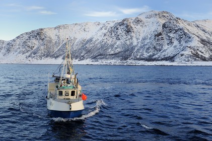 Norway, Nordland County, Vesteralen Islands, Myre area, fishing boat for skrei cod-fish