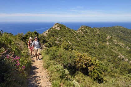 France, Var, Six Fours les Plages, hike in the Cap Sicie massif, hikers on the Roumagnan crest trail