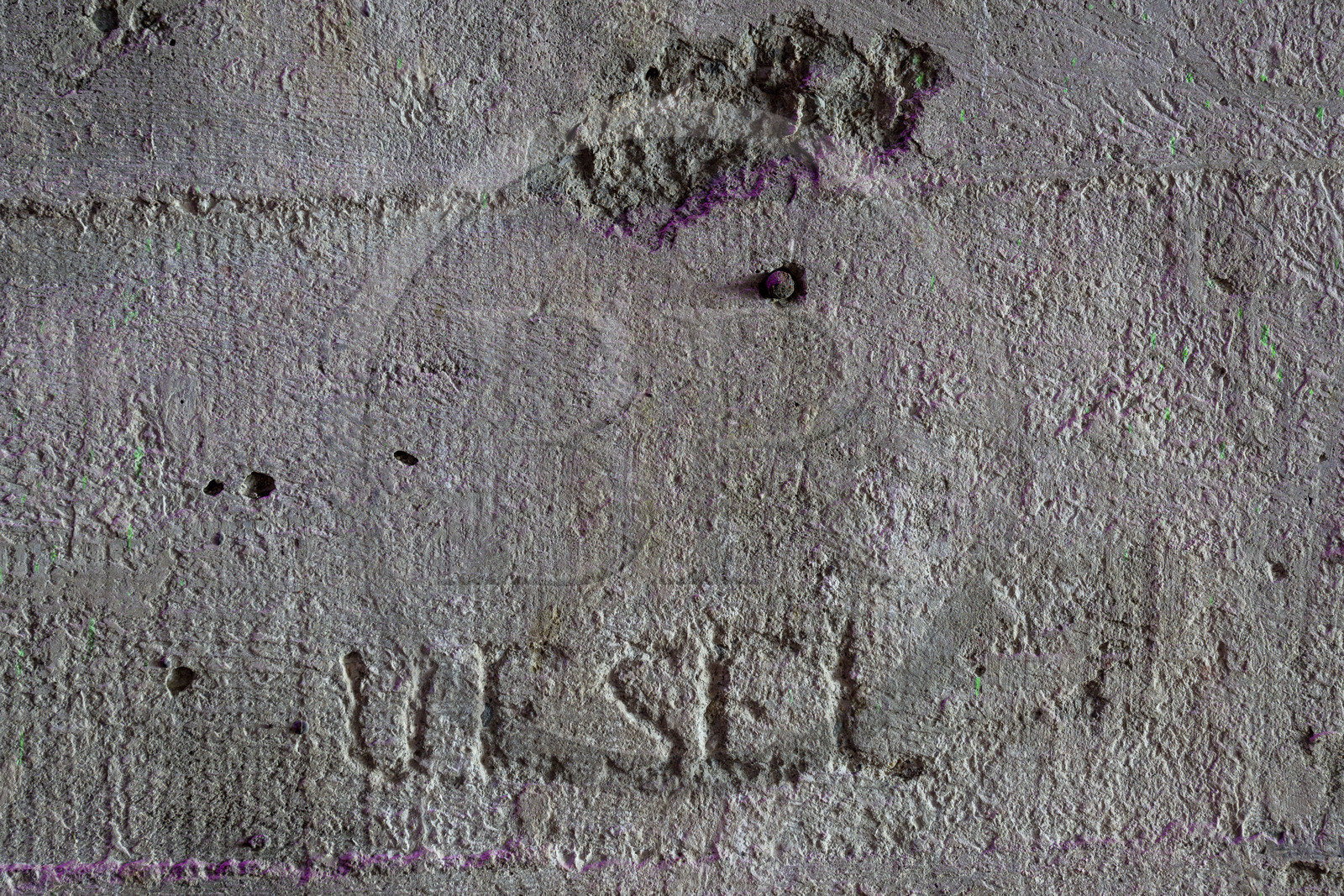 France, Loire-Atlantique (44), Saint-Nazaire, réhabilitation de la base sous-marine allemande construite lors de la dernière guerre mondiale et transformée en espace culturel, graffiti gravé dans l'alvéole 8 en mémoire au sous-marin U-338 dit Der Wilder Esel (l’âne sauvage) France, Loire-Atlantique (44), Saint-Nazaire, réhabilitation de la base sous-marine allemande construite lors de la dernière guerre mondiale et transformée en espace culturel, graffiti gravé dans l'alvéole 8 en mémoire au sous-marin U-338 dit Der Wilder Esel (l’âne sauvage)