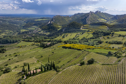 France, Vaucluse (84), Dentelles de Montmirail, le vignoble autour du village de Suzette, le Clapis prolongé par le Grand Montmirail à gauche, les Dentelles Sarrasines au centre et le Grand Travers tout à droite en arrière plan (vue aérienne)