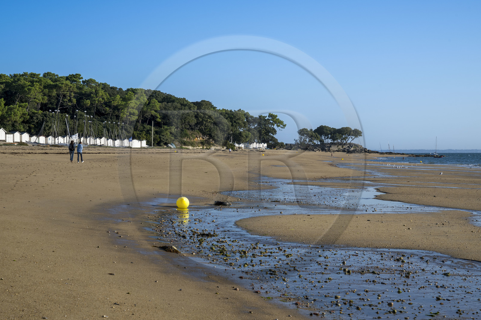 France, Vendée (85), Ile de Noirmoutier, Noirmoutier-en-l'Ile, plage des Sableaux