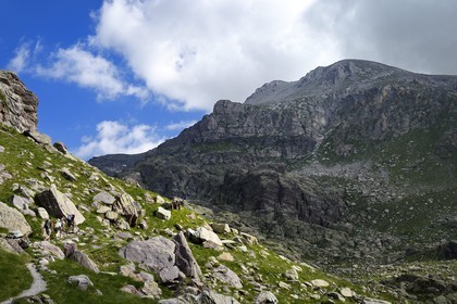 France, Alpes-Maritimes, parc national du Mercantour (Mercantour National Park), the Vallee des Merveilles (Valley of Wonders) scattered with thousands of rupestral engravings of the Bronze Age, hikers on the trail GR 52 and Mount Bego (2872m) in the background