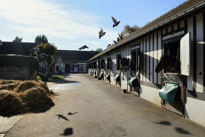 France, Calvados (14), Pays d'Auge, Deauville, Hippodrome de Deauville-La Touques, les écuries