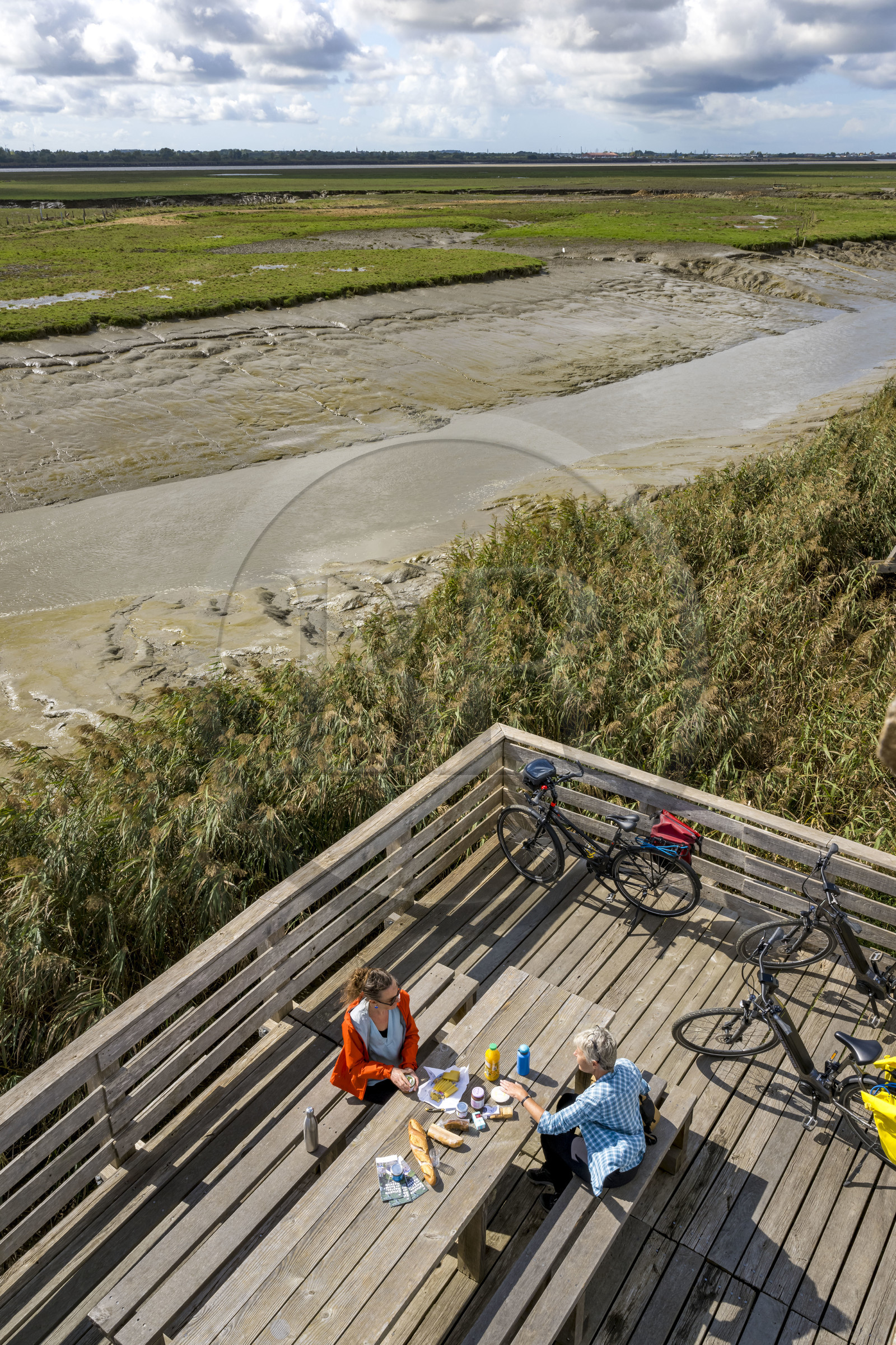 France, Loire-Atlantique (44), Lavau-sur-Loire, collection d'art contemporain à ciel ouvert Estuaire, l’Observatoire réalisé par l'artiste Tadashi Kawamata
