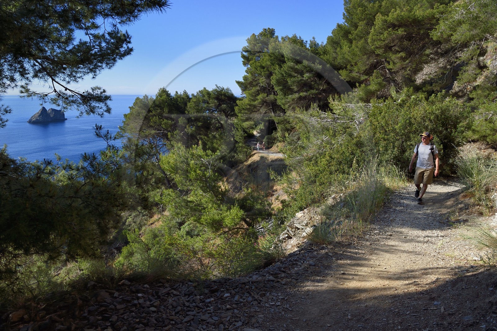 France, Var (83), La Seyne-sur-Mer, randonnée dans le massif du Cap Sicié le long du chemin du Joncquet en contrebas de la Corniche Merveilleuse, le Rocher des Deux Frères