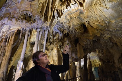 France, Dordogne, Perigord Vert, Villars, Villars Cave, Palaeolithic drawing called The small blue horse dated 17000 years (Magdalenian era), it is covered by a mantle of semi-transparent calcite