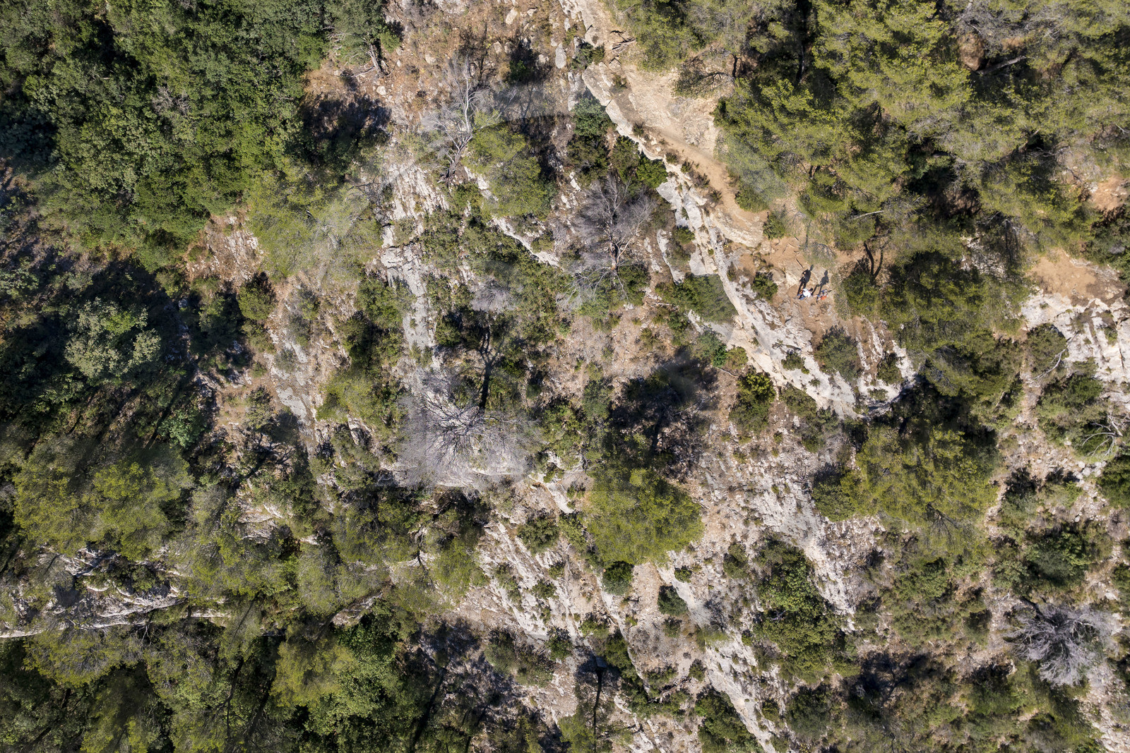 France, Bouches-du-Rhône (13), Aix en Provence, falaise en bordure du plateau de Bibemus