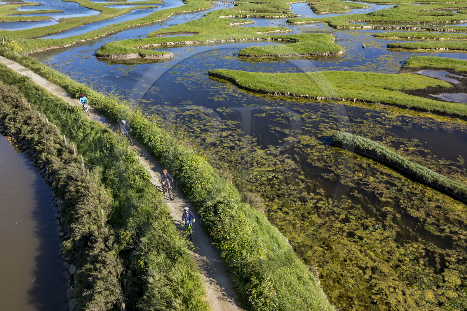 France, Vendée (85), Talmont-Saint-Hilaire, marais de la Guittière dans l'arrière pays de la Pointe du Payré, cycliste sur la piste de la véloroute Vendée Vélo Tour et Vélodyssée au passage du Cul d’Ane, marais aménagés pour la pisciculture de dorades, mulets et anguilles (vue aérienne) France, Vendée (85), Talmont-Saint-Hilaire, marais de la Guittière dans l'arrière pays de la Pointe du Payré, cycliste sur la piste de la véloroute Vendée Vélo Tour et Vélodyssée au passage du Cul d’Ane, marais aménagés pour la pisciculture de dorades, mulets et anguilles (vue aérienne)