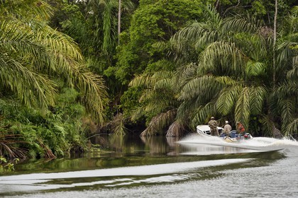 Gabon, province de Ogooué- Maritime, Parc National du Loango, bateau à moteur sur une rivière du site de Akaka dans la lagune du Fernan Vaz (Nkomi)