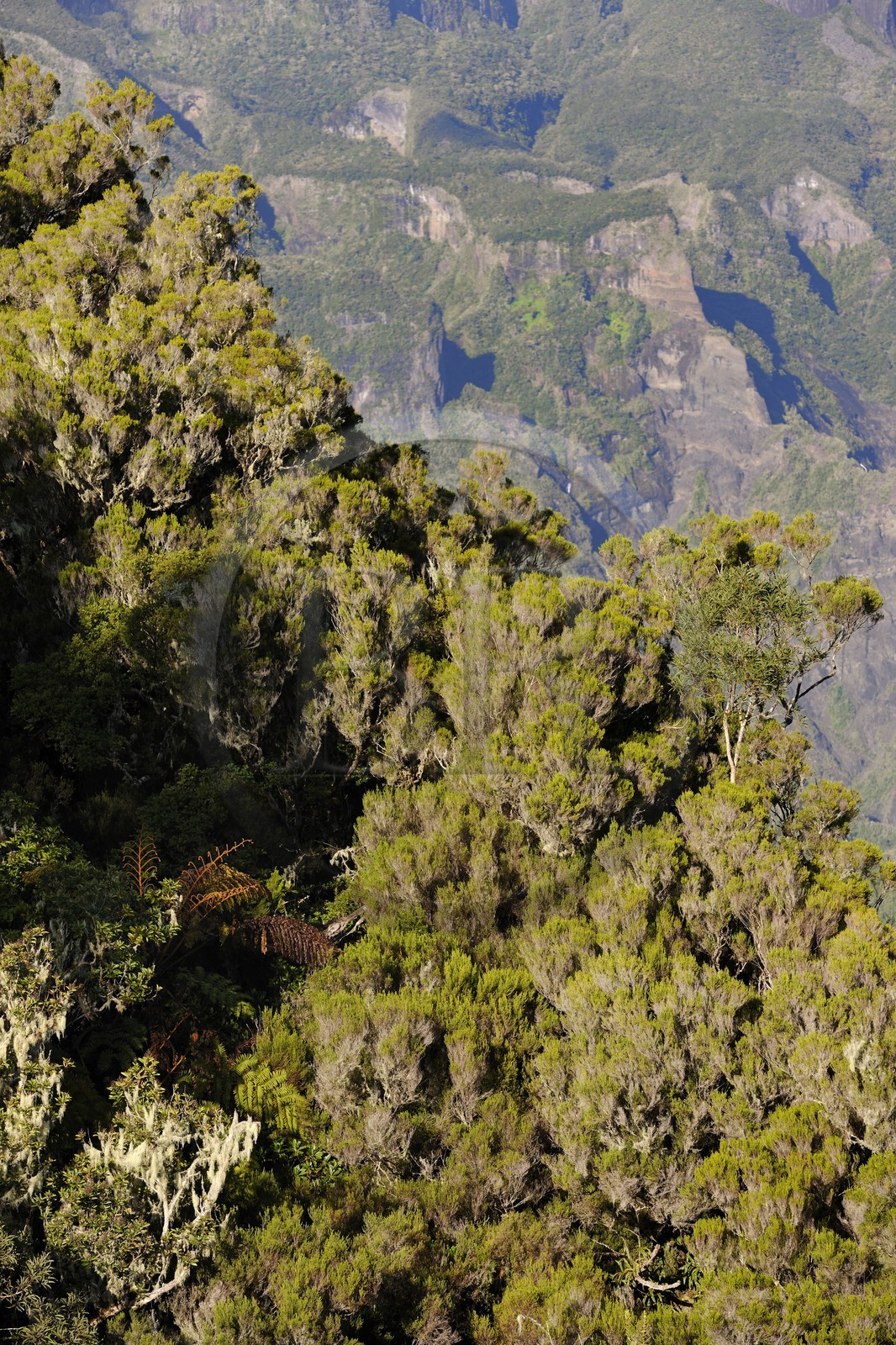 France, île de la Réunion, cirque de Salazie, classé Patrimoine Mondial de l'UNESCO