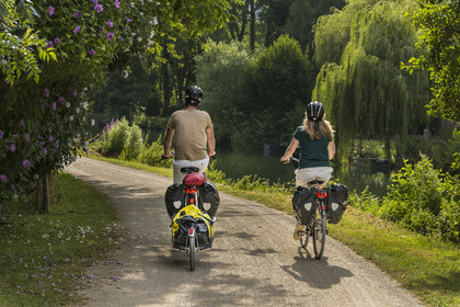 France, Deux-Sèvres, le Marais Poitevin, Green Venice, Magné, bicycle journey along the Sevre Niortaise River banks on the Vélo Francette cycle path, bike with a trailer carrying camping equipment