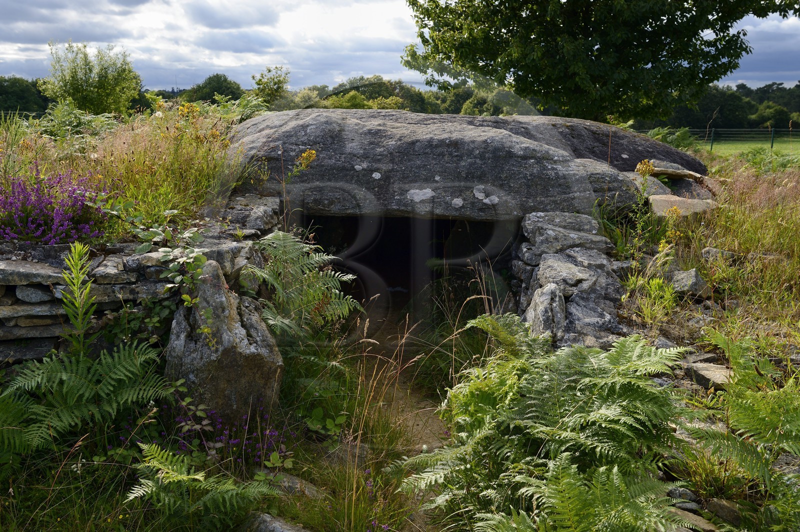 France, Morbihan (56), Colpo, Dolmen de Larcuste