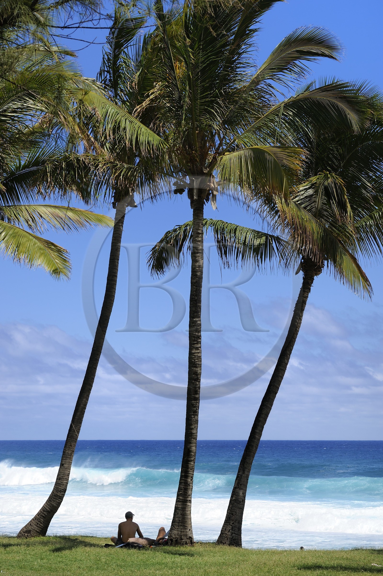 France, île de la Réunion, la côte sud, plage de Grand-Anse